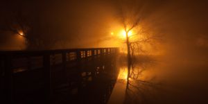 fog and night - 04.jpg